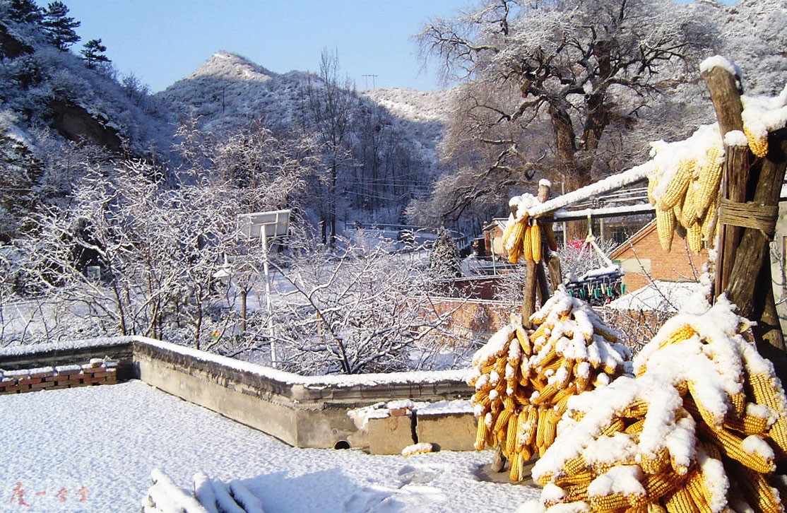 望山居：寂静的雪后.jpg